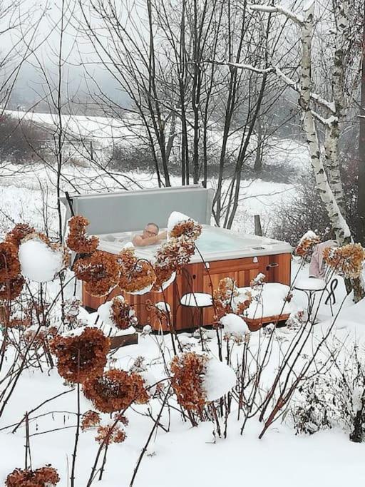 Gite De Charme 5 Etoiles Pour Couple Avec Sauna Et Jacuzzi Exterieurs Privatifs Peaugres Exterior foto
